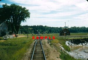 South Maitland Station 1958.jpg