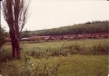 Untitled-Scanned-07.jpg