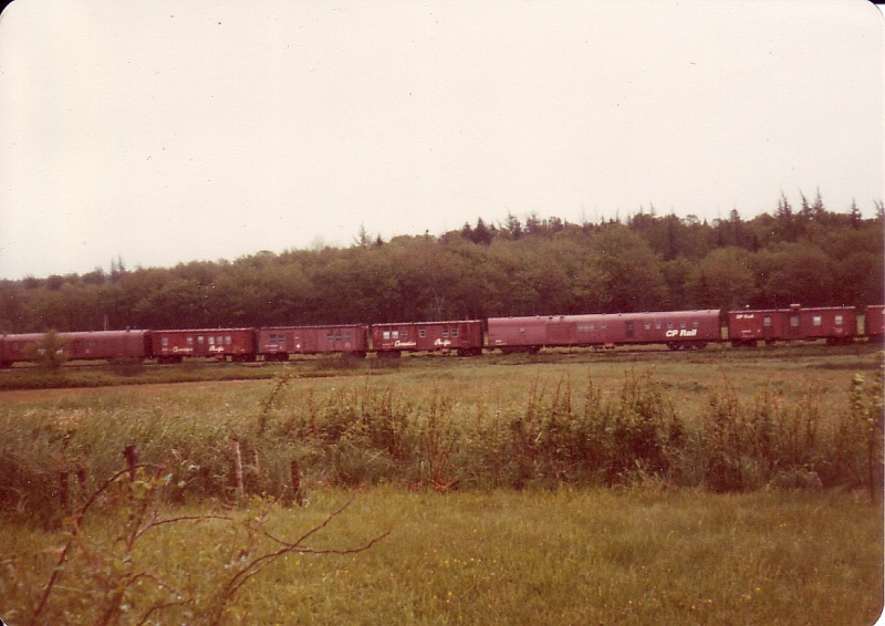 File:Untitled-Scanned-09.jpg