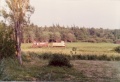 Untitled-Scanned-17.jpg