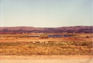Untitled-Scanned-20.jpg