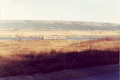 Upper clements 1989.jpg