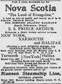 WashingtonEveningStar1904.jpg